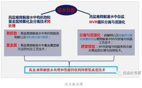 高鹽難降解廢水趨零排放技術(shù)實(shí)現(xiàn)重大突破與規(guī)?；瘧?yīng)用
