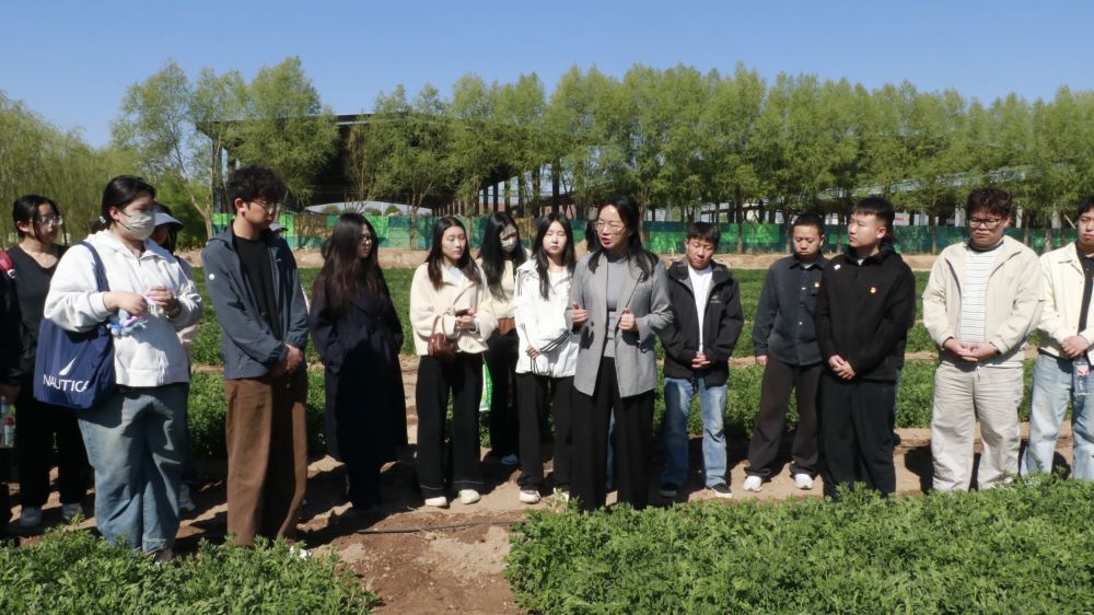 科技小院扎根寧夏大地，鄉村振興注入青春力量