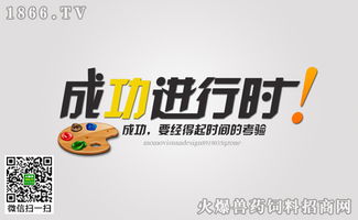 經(jīng)銷商成功營銷的三個(gè)標(biāo)準(zhǔn)與落地實(shí)踐